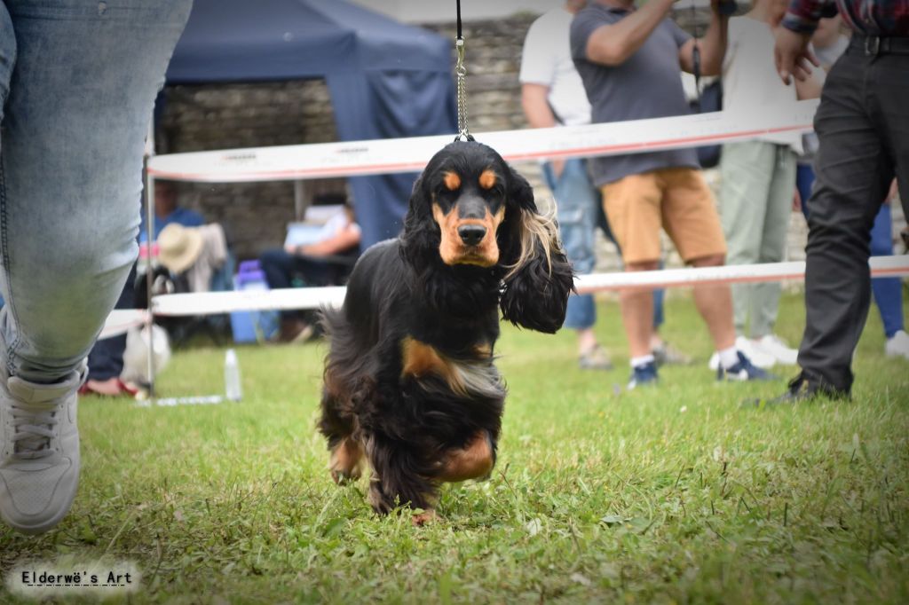 Osaka Du Domaine D'Anteros